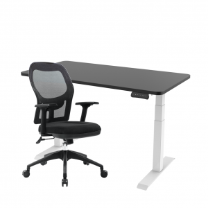 Pelion Standing Desk Home Office Set